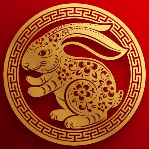 Chinese New Year Rabbit Magician Magic